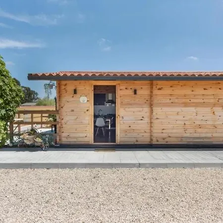 Comfortable House Σπίτι διακοπών Ponte de Vagos