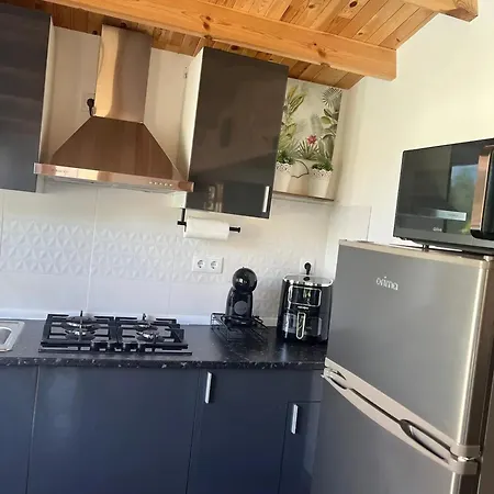 Comfortable House