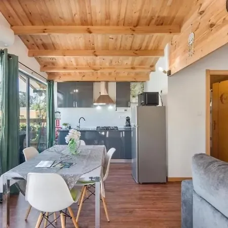 Comfortable House Ponte de Vagos